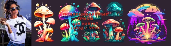 дурь Алексеевка