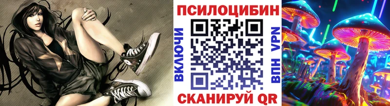 купить закладку  Черемхово  Галлюциногенные грибы GOLDEN TEACHER 