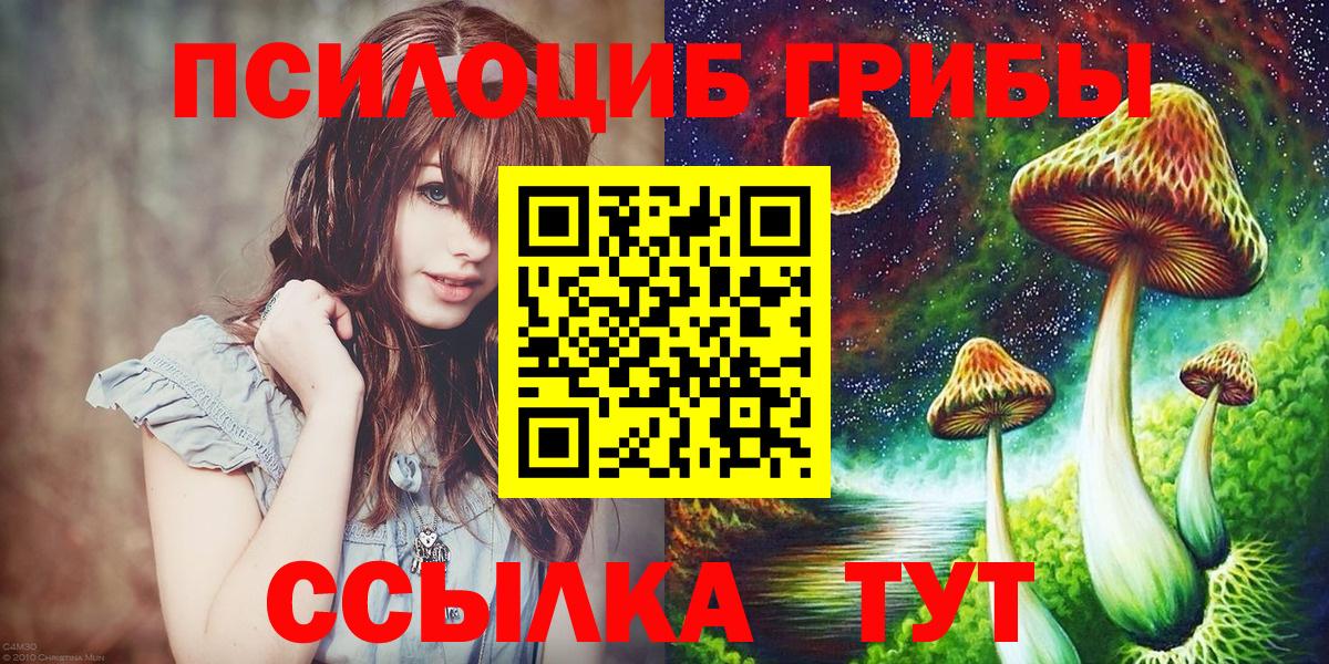 Черемхово  Псилоцибиновые грибы Magic Shrooms  Вход с VPN 