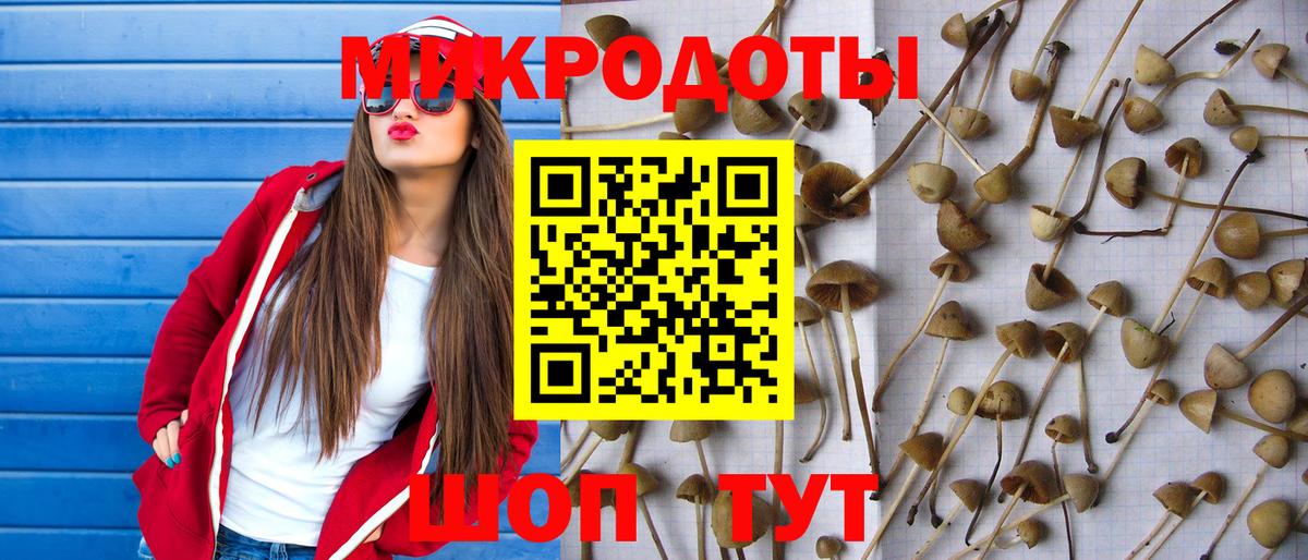 Галлюциногенные грибы Psilocybine cubensis Черемхово